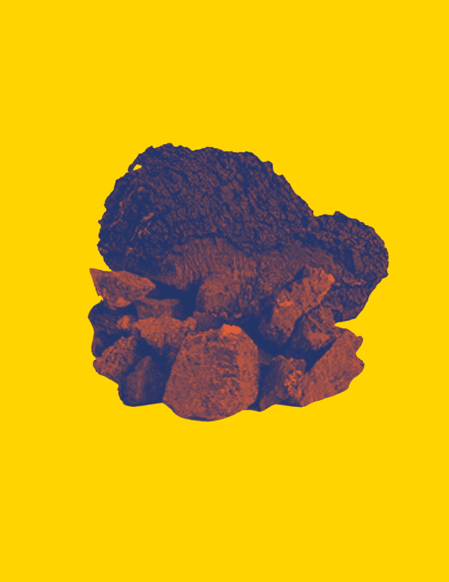 Chaga for Immunity