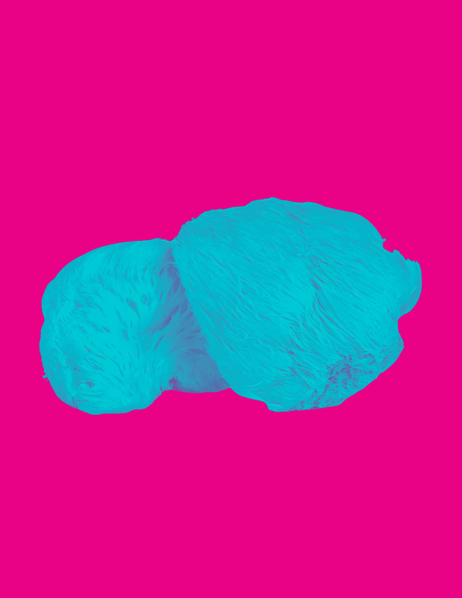 Lion's Mane for Focus